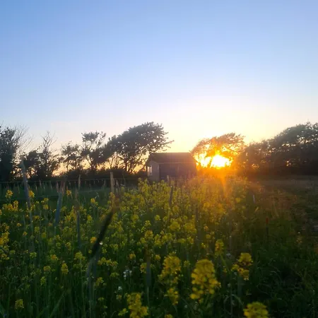 Peaceful Place - Alpaca-Cottage For 2, Beautiful View Holiday home