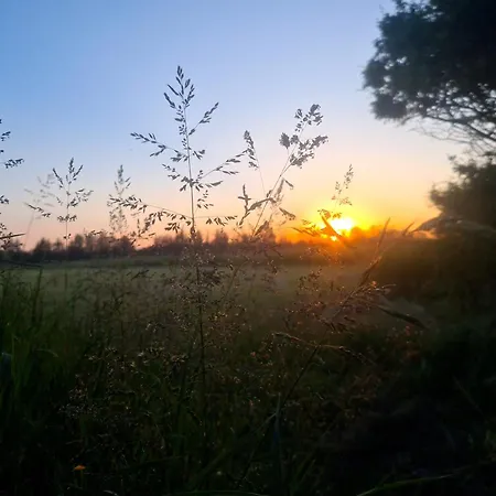 Peaceful Place - Alpaca-Cottage For 2, Beautiful View Lokken