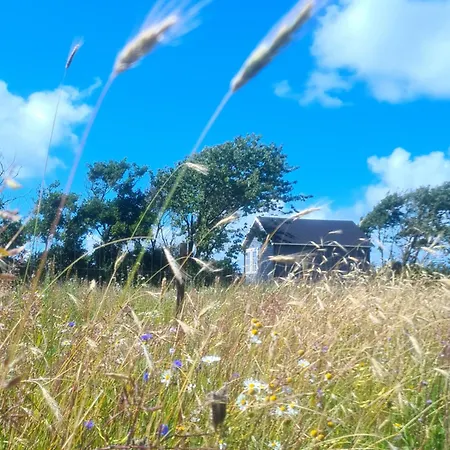 Peaceful Place - Alpaca-cottage For 2, Beautiful View * 루켄