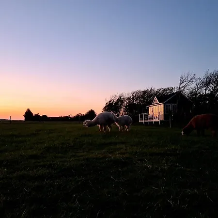 Peaceful Place - Alpaca-Cottage For 2, Beautiful View