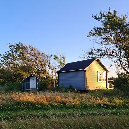 Egeskovs Alpaca & Casa vacanze *