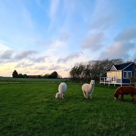 Peaceful Place - Alpaca-Cottage For 2, Beautiful View Holiday home *